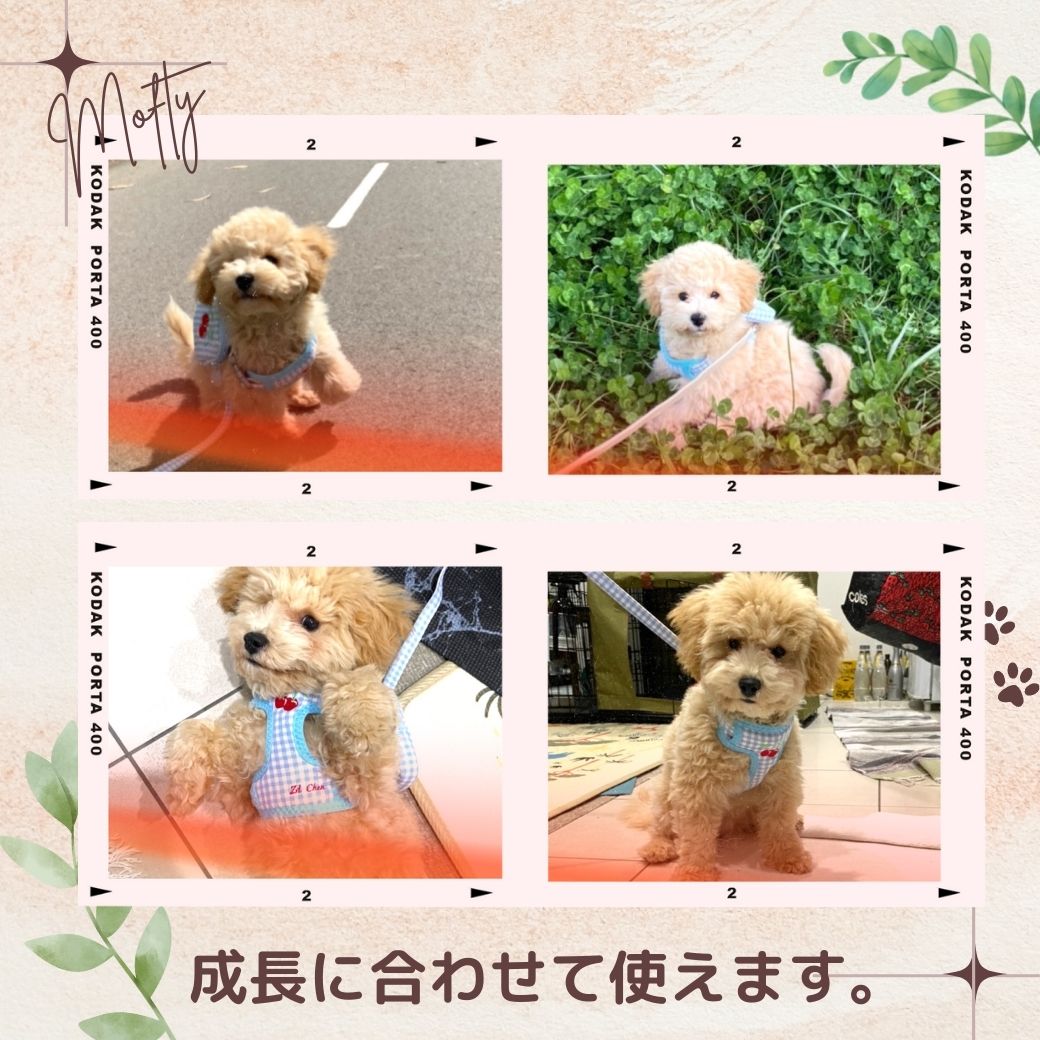 ハーネス 小型犬 可愛い リュック 犬 リード お揃い セット チェック フルーツ 柄 着脱 し やすい 服 引っ張り 服 メッシュ ウェア おしゃれ 胴輪 抜けにくい ダブル ロック トイプードル ペット 春夏秋冬 ドッグ dog 散歩 チェリー いちご