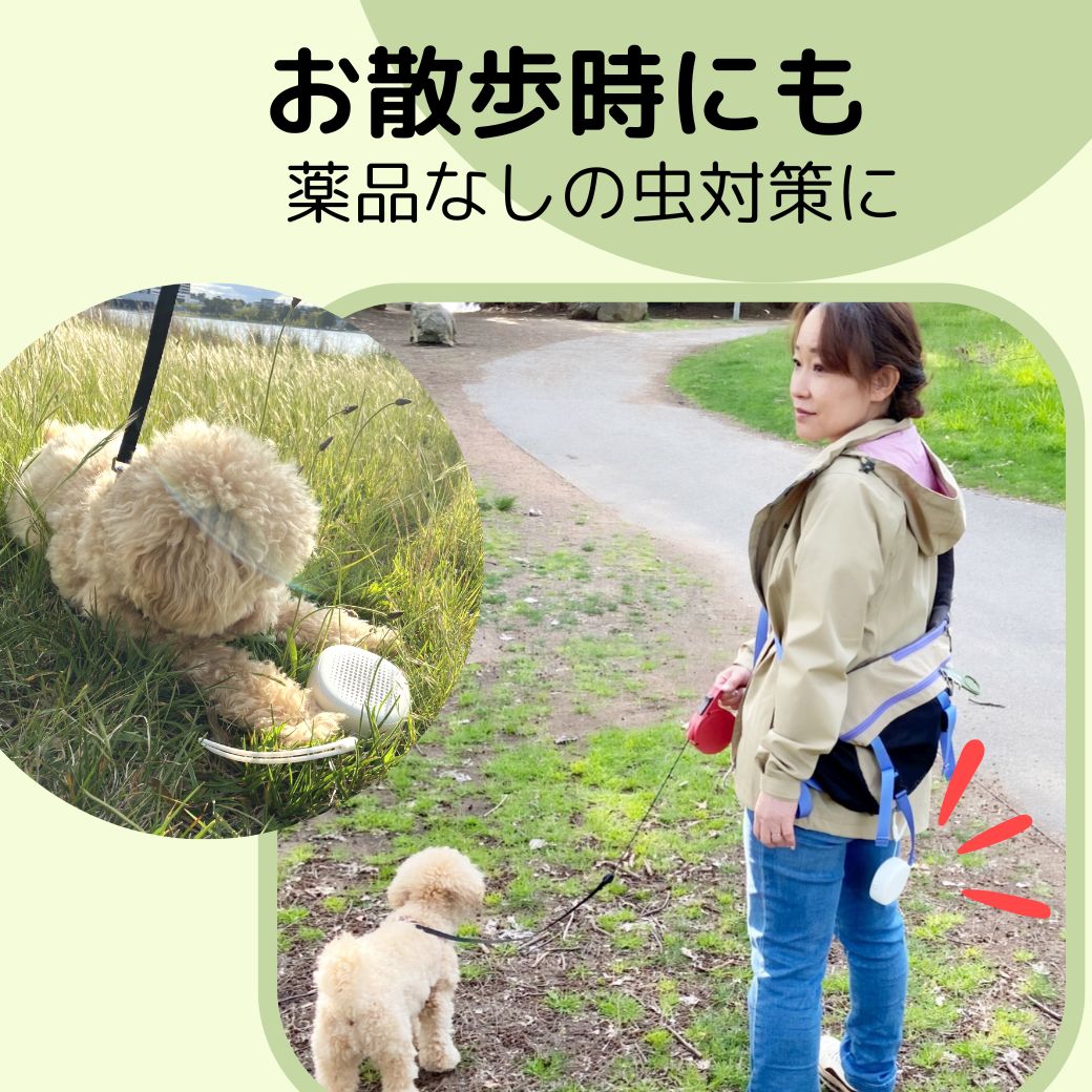 入学 新生活 お祝クーポン水を使わない アロマディフューザー コードレス 充電式 車載 水なし 吊り下げ ネブライザー 小型 卓上 携帯 安眠 感染 虫 精油 aroma 車 ドライブ ストレス 受験勉強 キャンプ ウォーキング 香り エッセンシャルオイル