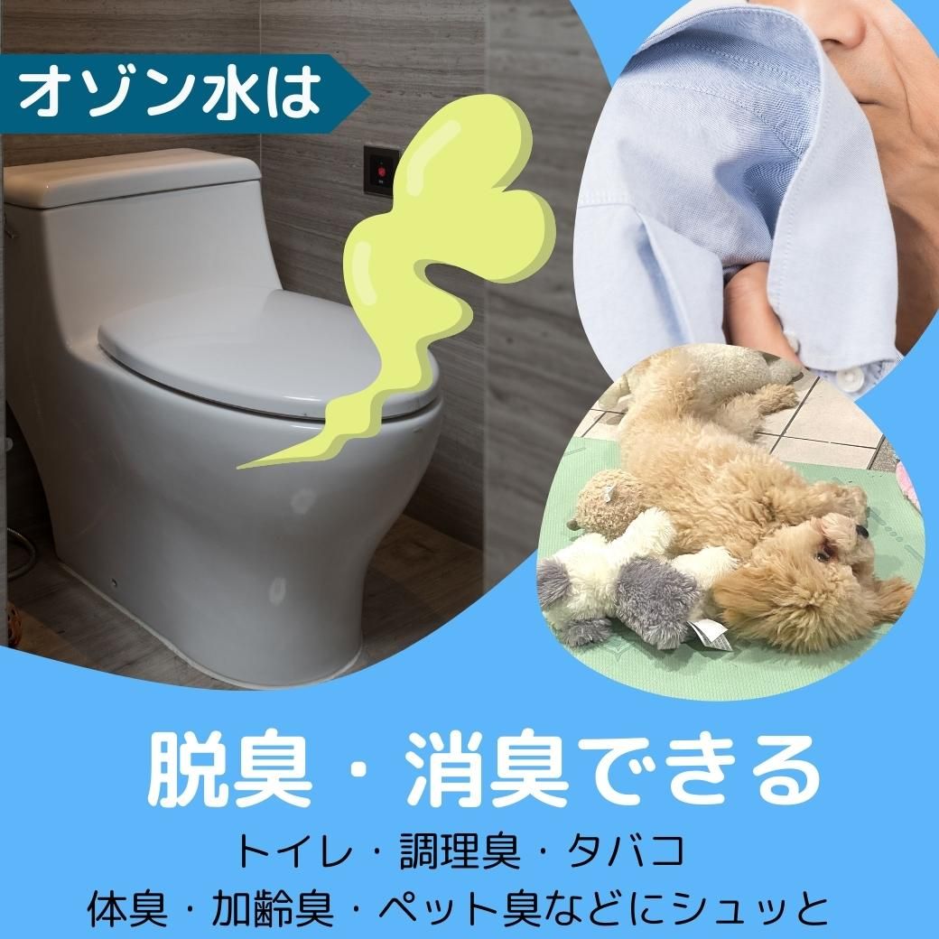 入学 新生活 お祝 水でできる オゾン水 除菌 ミスト スプレー 携帯用 充電式 オゾン 生成器 細菌 ウイルス 感染 対策 消臭 脱臭 殺菌 O3 ナノバブル 美容 噴霧  おしゃれ コンパクト ペット 加齢臭 手荒れ 小型 軽量 コロナ 赤ちゃん