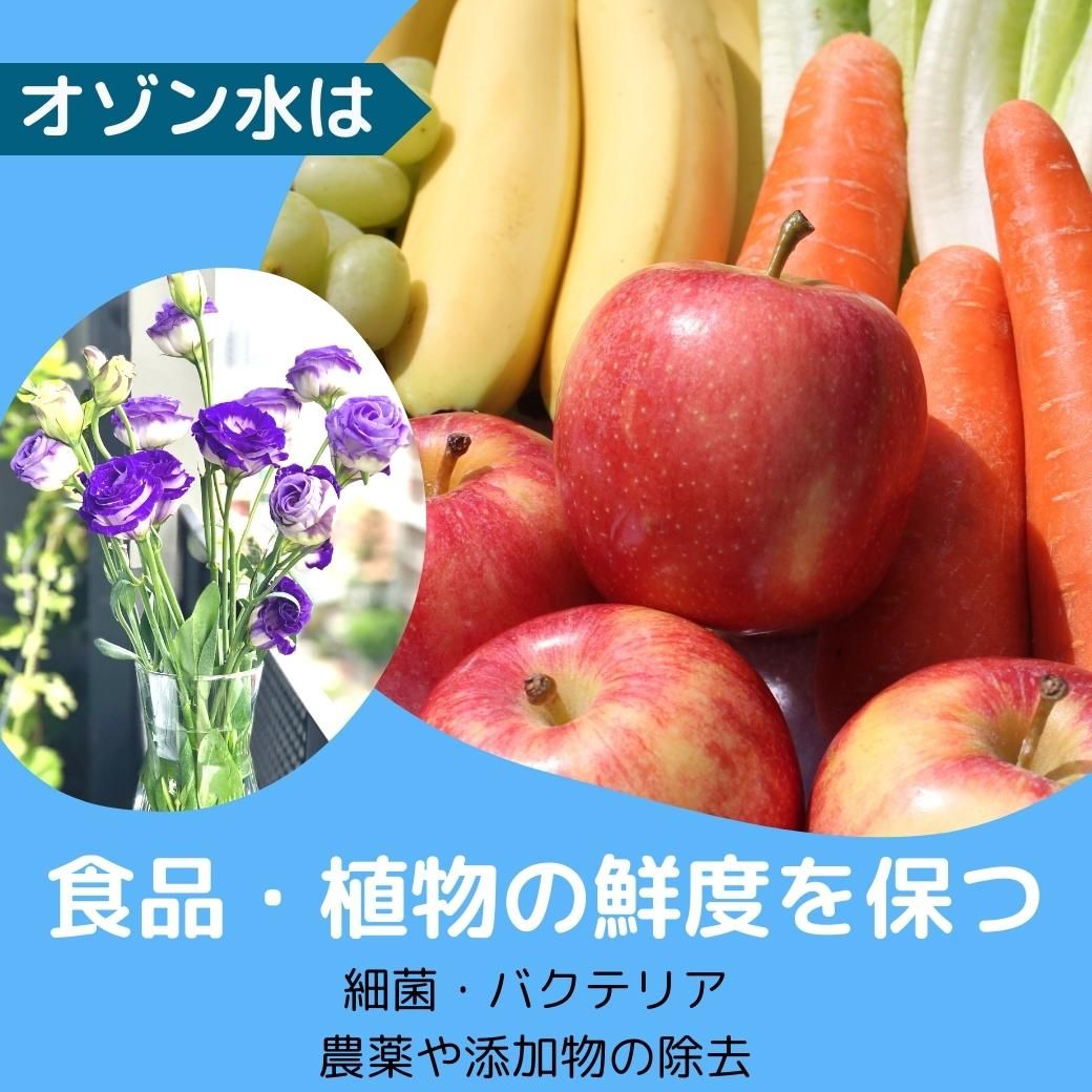 入学 新生活 お祝 水でできる オゾン水 除菌 ミスト スプレー 携帯用 充電式 オゾン 生成器 細菌 ウイルス 感染 対策 消臭 脱臭 殺菌 O3 ナノバブル 美容 噴霧  おしゃれ コンパクト ペット 加齢臭 手荒れ 小型 軽量 コロナ 赤ちゃん